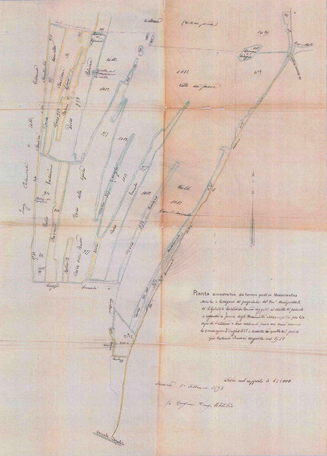 Pianta dimostrativa dei terreni posti in Massenzatica 1 febbraio 1893