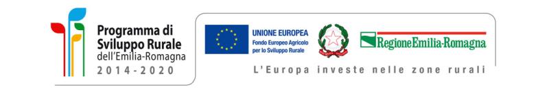 Logo RER